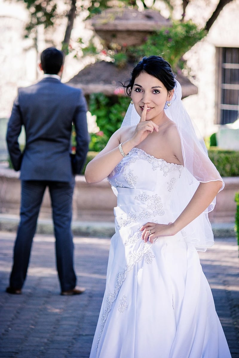 Bride Wedding Dress