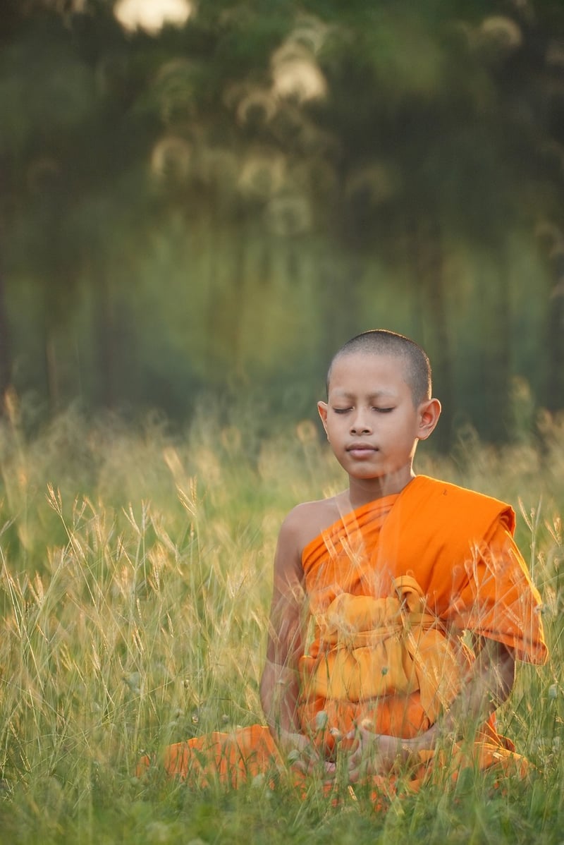 Meditation and Spiritual Practice